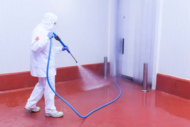 Professional Pressure Washing in Saltillo, MS